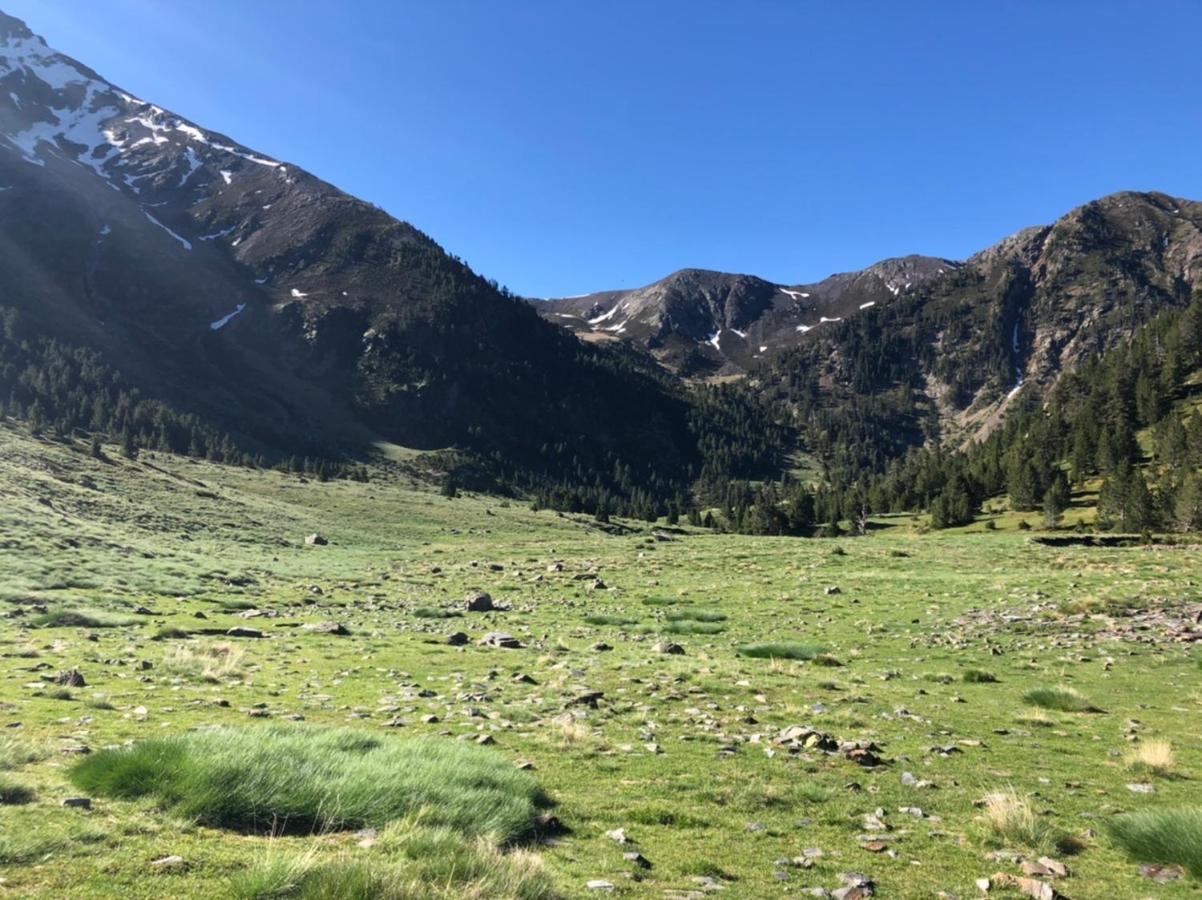 Hostal Pirineos Meliz Bielsa Buitenkant foto